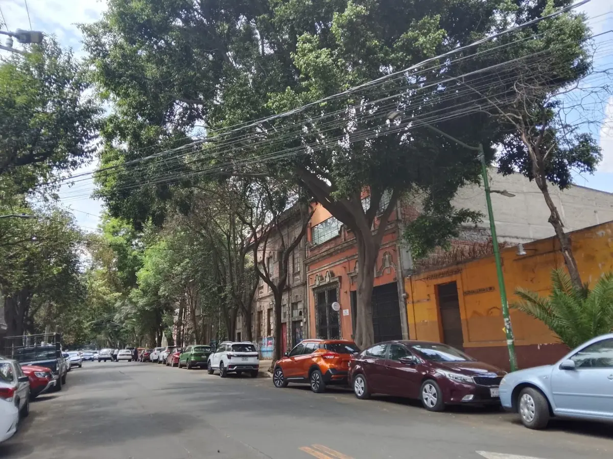 Terreno en venta en San Rafael, Cuauhtémoc — foto 1 de 6