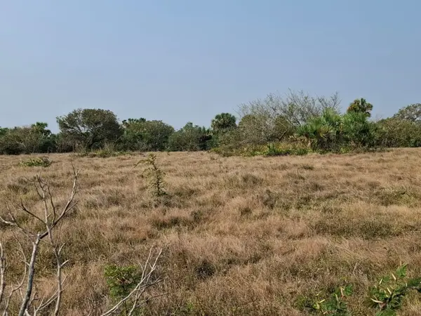 Terreno en venta en Medellín, Medellín de Bravo — foto 3 de 9