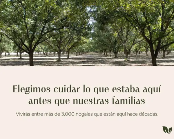 Terreno en venta en Privadas de Santa Fe, Torreón — foto 3 de 13