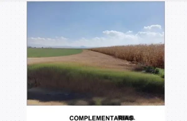 Terreno en venta en Bosques del Mineral, Mineral de la Reforma — foto 2 de 15