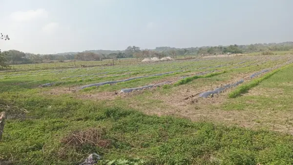 Terreno en venta en El Zapote, Alvarado — foto 3 de 5