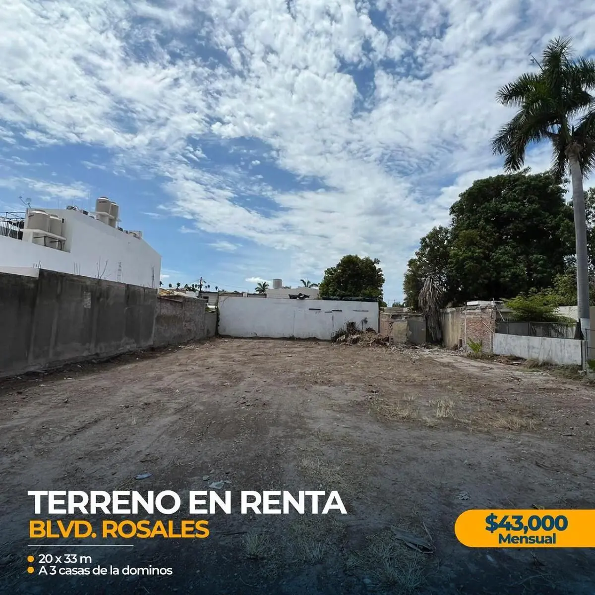 Terreno en renta en Los Mochis, Ahome — foto 1 de 5