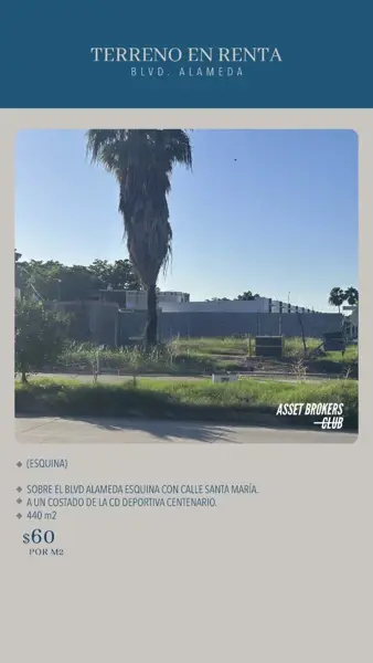 Terreno en renta en Los Mochis, Ahome — foto 3 de 3