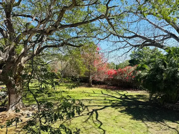 Terreno en venta en Komchen, Mérida — foto 3 de 43