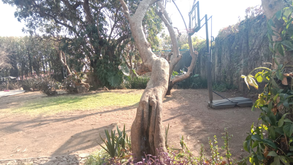 Casa en venta en San Pedro, Malinalco — foto 3 de 11
