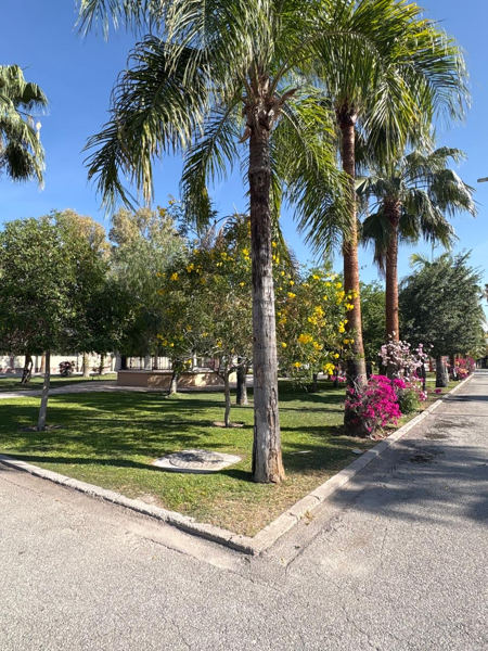Casa en renta en Rincón San Ángel, Torreón — foto 3 de 20