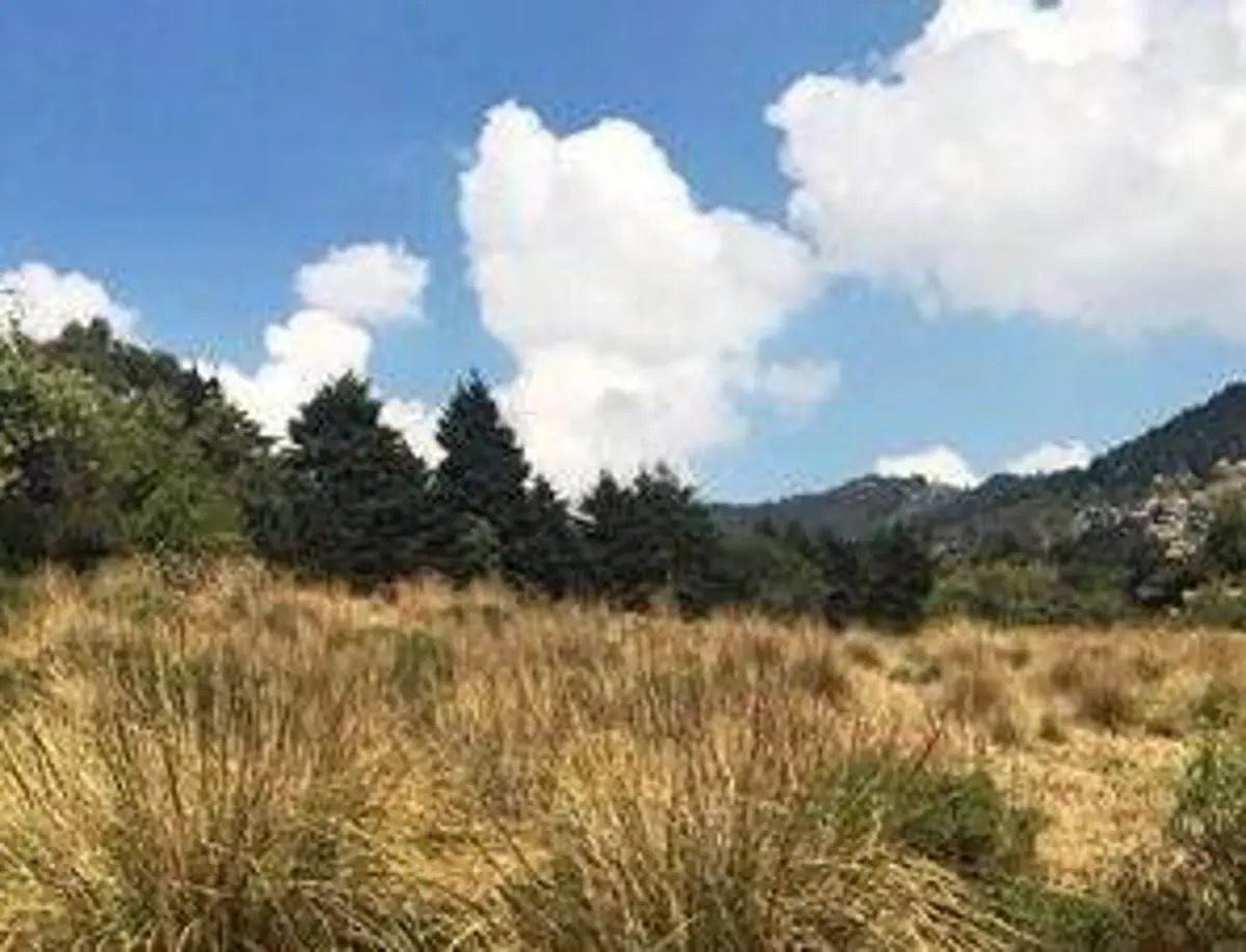 VENTA TERRENO A 5 MINUTOS DEL RESTAURANTE LAS CABALLERIZAS HUIXQUILUCAN VENTA TERRENO A 5 MINUTOS DEL RESTAURANTE LAS CABALLERIZAS HUIXQUILUCAN