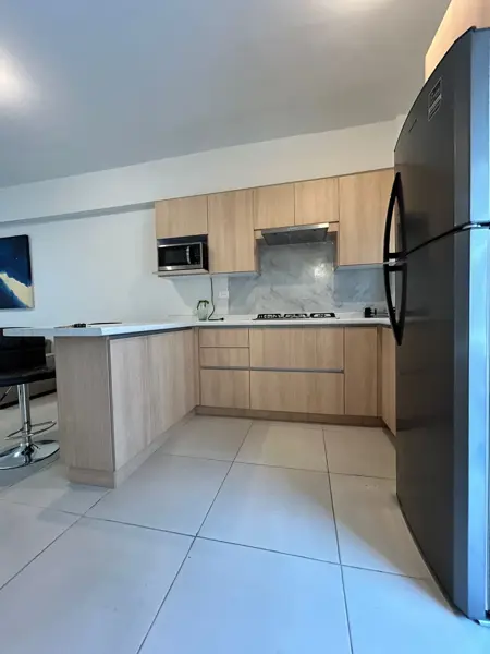 Departamento en Renta en San Nicolas Living — foto 1 de 12