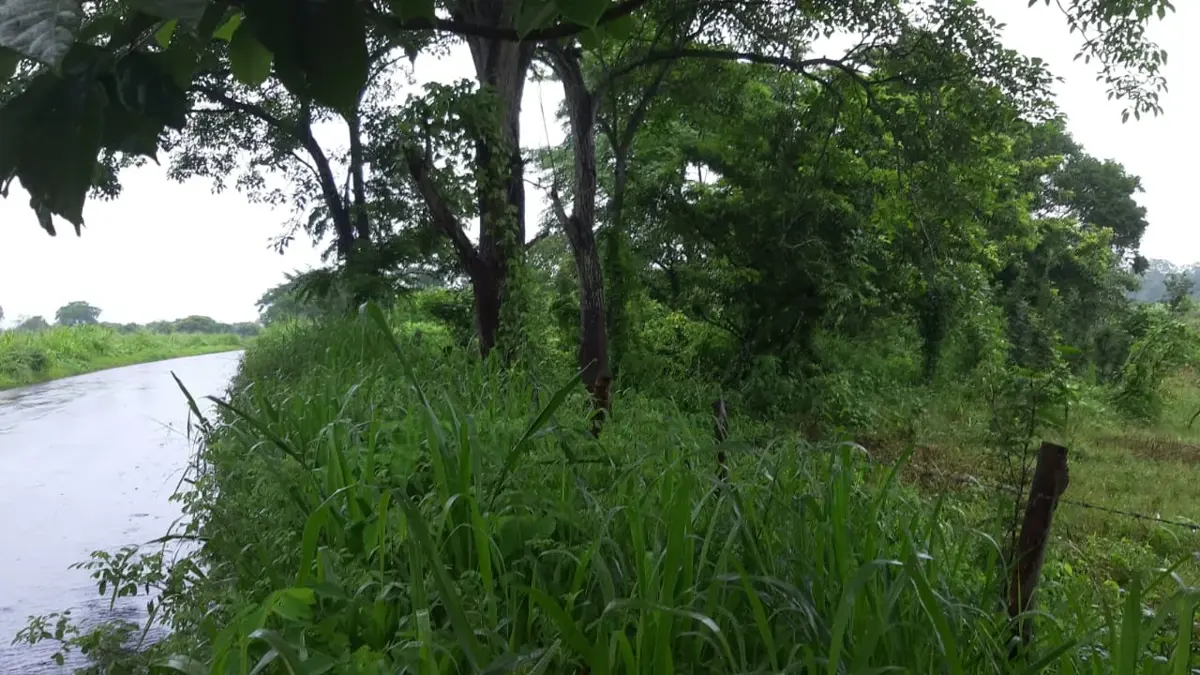 Terreno en venta en El Buzón, Manlio Fabio Altamirano — foto 1 de 10