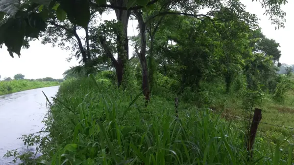 Terreno a orilla de carretera en el Buzón Veracruz 20.5 hectáreas