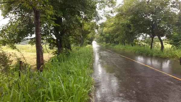 Terreno en venta en El Buzón, Manlio Fabio Altamirano — foto 2 de 10