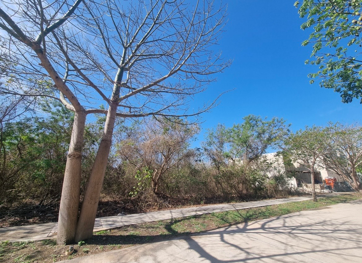 Terreno en venta en Cabo Norte, Mérida — foto 1 de 12