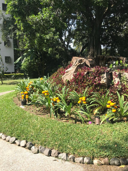 Departamento en venta en Acapatzingo, Cuernavaca — foto 2 de 24