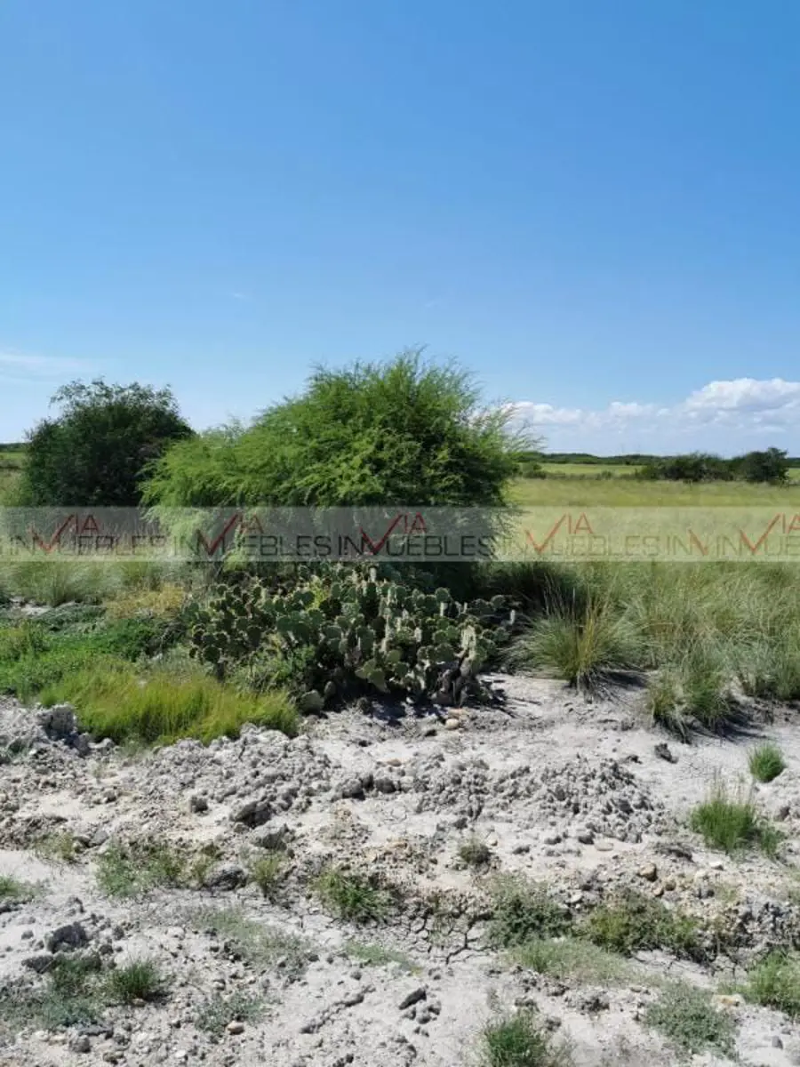 Terreno en venta en La Pesca, Soto la Marina — foto 1 de 8