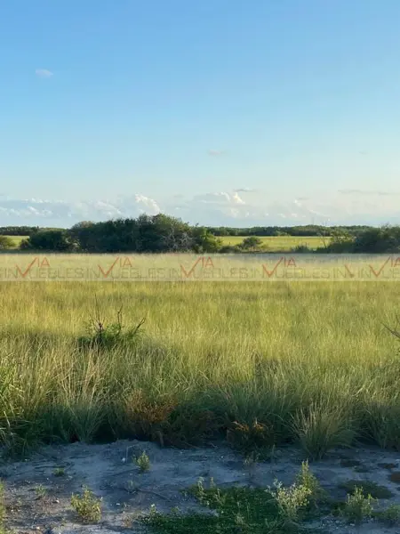 Terreno en venta en La Pesca, Soto la Marina — foto 2 de 8