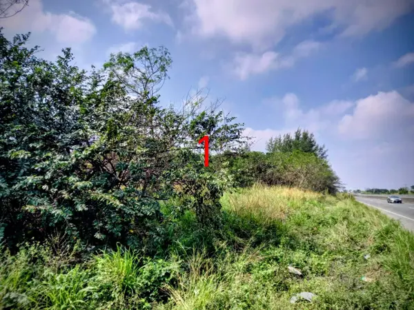 Terreno en venta en Anton Lizardo, Alvarado — foto 3 de 3
