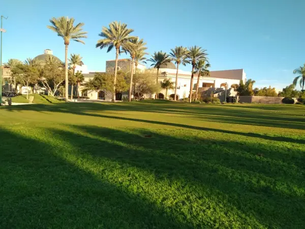 Terreno en Venta, Montebello, Torreón Coah.