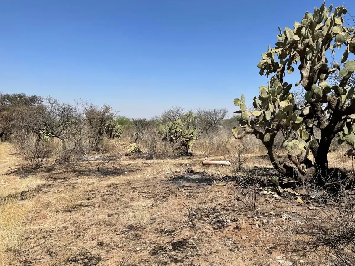 Terreno en venta en Loretito (Charco del Toro), San Francisco de los Romo — foto 1 de 10