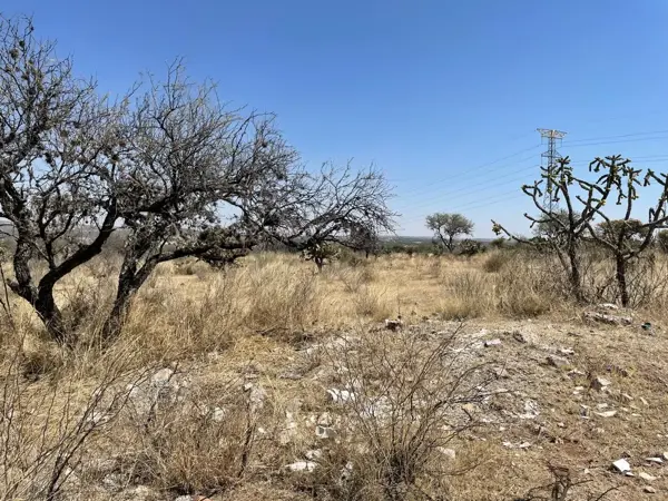 Terreno en venta en Loretito (Charco del Toro), San Francisco de los Romo — foto 2 de 10