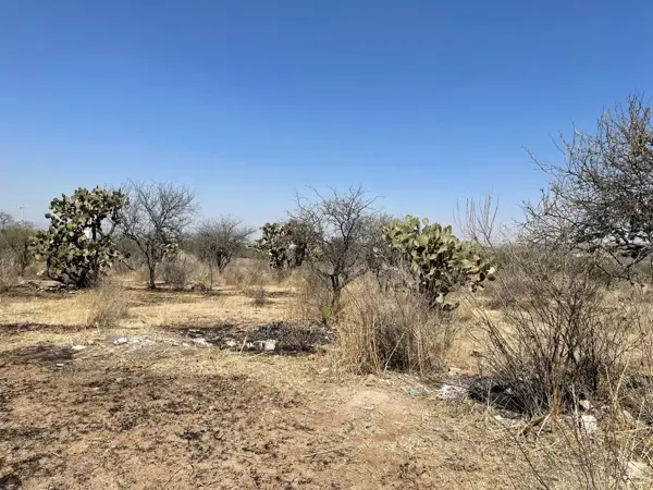 Terreno en venta en Loretito (Charco del Toro), San Francisco de los Romo — foto 3 de 10