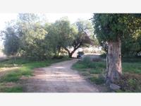 Terreno en venta en soledad de graciano sanchez, Soledad de Graciano Sánchez — foto 2 de 4