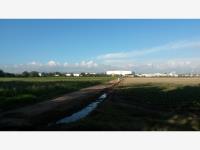 Terreno en venta en soledad de graciano sanchez, Soledad de Graciano Sánchez — foto 3 de 4