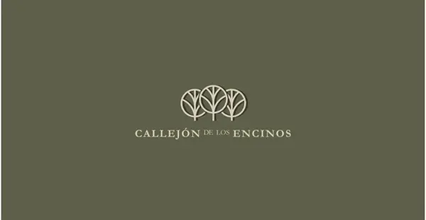 TERRENO EN VENTA CALLEJÓN DE LOS ENCINOS