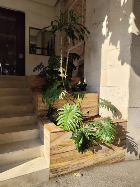Departamento en renta en Del Valle Norte, Benito Juárez — foto 2 de 18