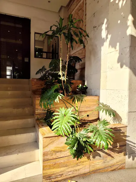 Departamento en renta en Del Valle Centro, Benito Juárez — foto 3 de 21