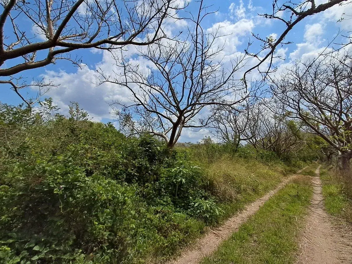 Terreno en venta en Jamapa, Jamapa — foto 1 de 5