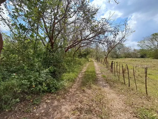 Terreno en venta en Jamapa, Jamapa — foto 2 de 5