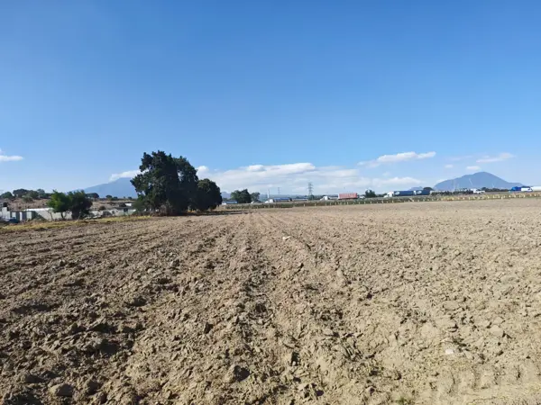 Terreno en venta en Amozoc Centro, Amozoc — foto 3 de 34