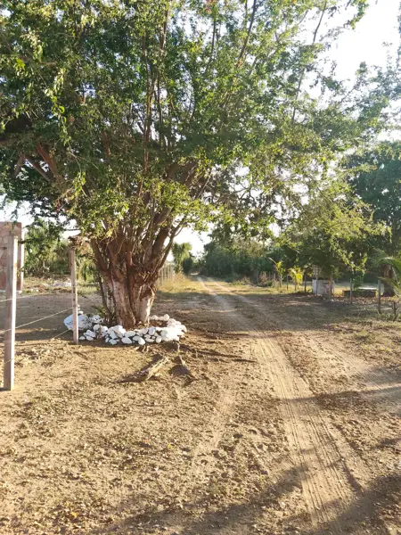 Terreno en venta en Bajos de Chila Centro, San Pedro Mixtepec -Dto. 22 - — foto 2 de 14
