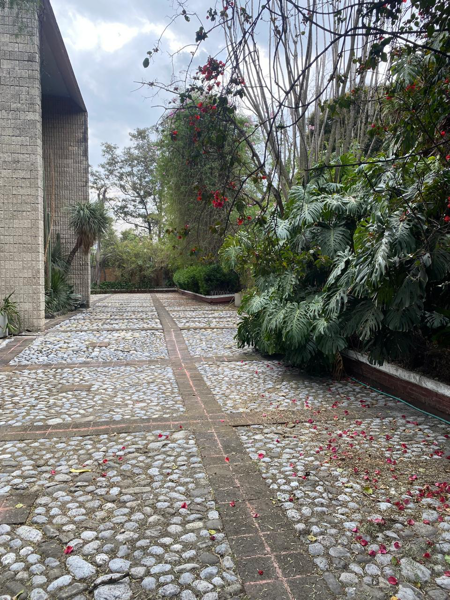 Edificio en renta en Lomas de Tarango, Álvaro Obregón — foto 3 de 43