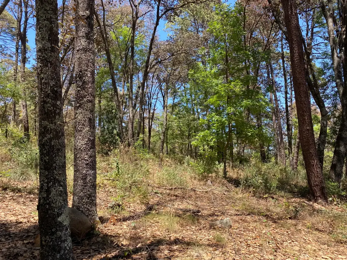 Terreno en venta en Bermúdez, Huasca de Ocampo — foto 1 de 15