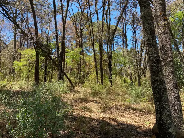 Terreno en venta en Bermúdez, Huasca de Ocampo — foto 3 de 15