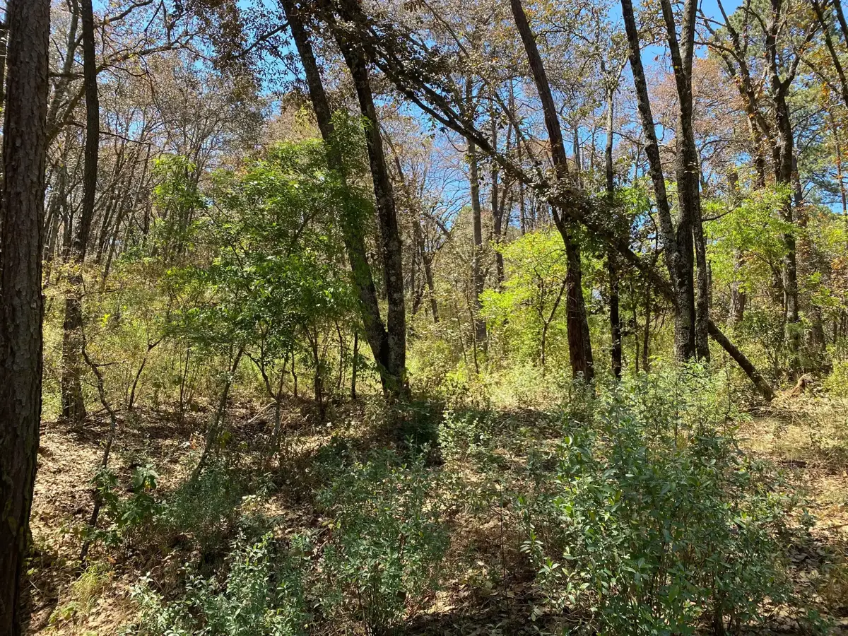 Terreno en venta en Bermúdez, Huasca de Ocampo — foto 1 de 15