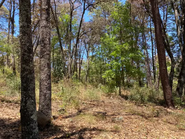 Terreno en venta en Bermúdez, Huasca de Ocampo — foto 3 de 15