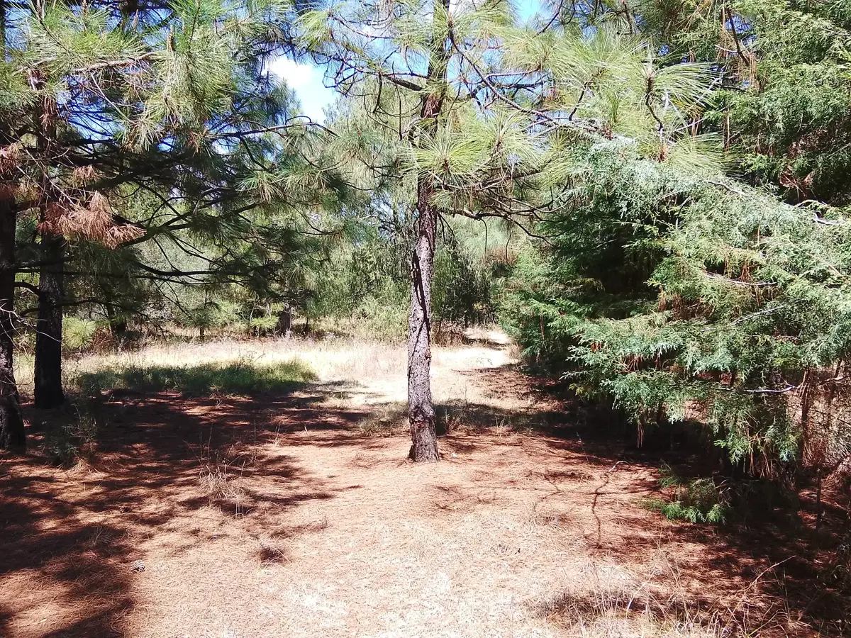 Terreno en venta en Bermúdez, Huasca de Ocampo — foto 1 de 20