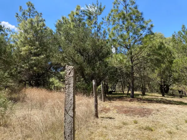 Terreno en venta en Bermúdez, Huasca de Ocampo — foto 2 de 20