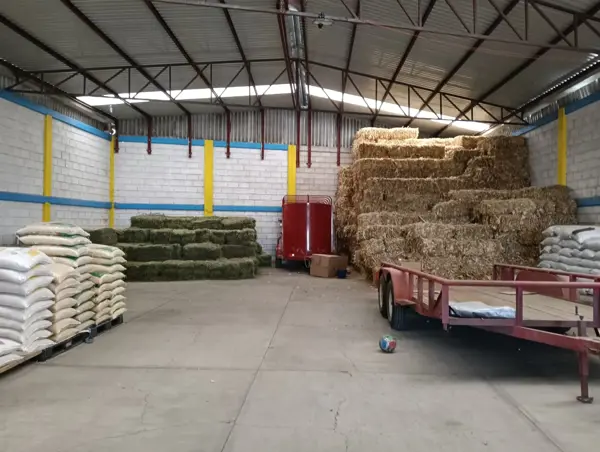 Bodega en renta en Palmillas, San Juan del Río — foto 3 de 15