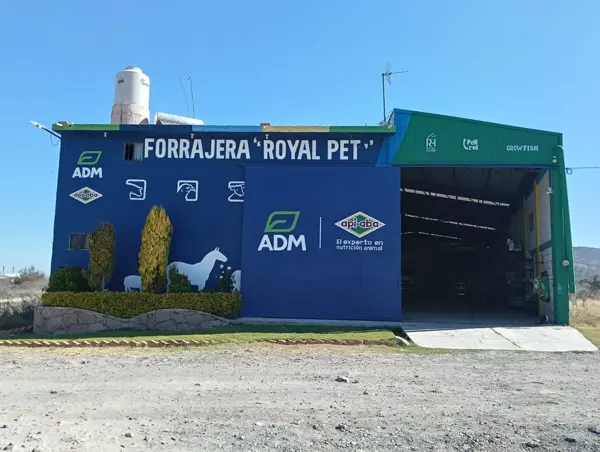 Bodega en Renta en Palmillas, San Juan del Río - Amplia y Bien Ubicada