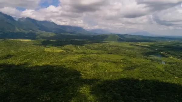 Terreno en venta en Los Sabinos, Montemorelos — foto 3 de 16