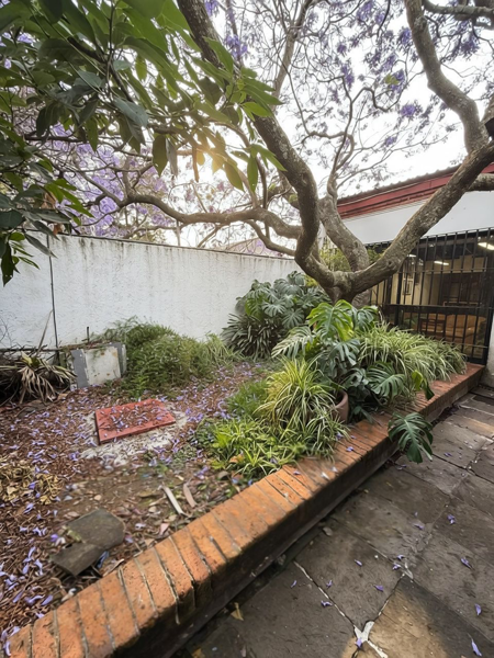Casa en venta en San Jose del Olivar, Álvaro Obregón — foto 3 de 12