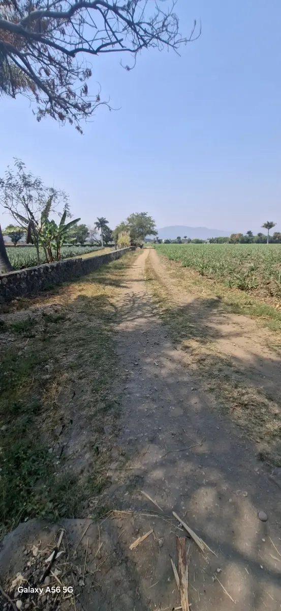 Terreno en venta en San Carlos, Yautepec — foto 1 de 15