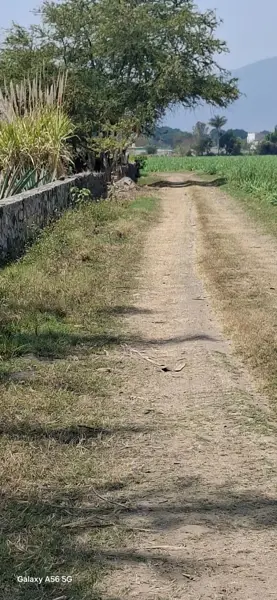 Terreno en venta en San Carlos, Yautepec — foto 3 de 15