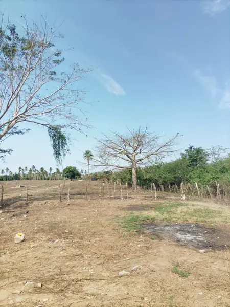 Terreno en venta en Lomas de Chapultepec, Acapulco de Juárez — foto 3 de 18