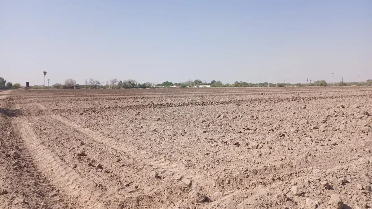 Terreno en venta en Agrícola la Popular, Gómez Palacio — foto 1 de 5
