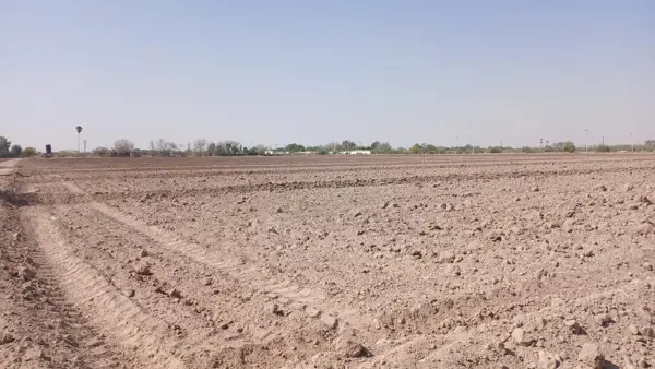 PARCELA AGRICOLA EN VENTA