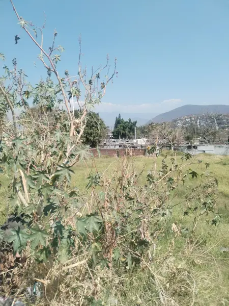 Terreno en renta en La Joya, Jiutepec — foto 3 de 26